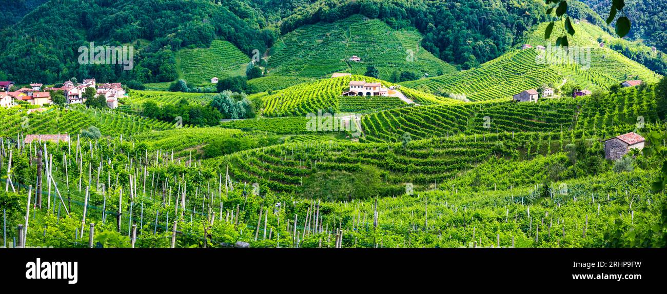 Berühmte Weinregion in Treviso, Italien. Valdobbiadene Hügel und Weinberge auf der berühmten Prosecco-Weinstraße und malerischen Dörfern Stockfoto
