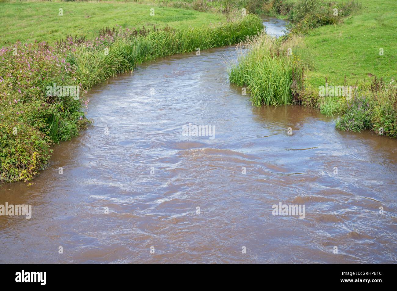 Der Gwendraeth Fach war nach starkem Regen im August 2023 stark mit landwirtschaftlichen Abwässern und Sedimenten verschmutzt. Llangydeyrn, Wales, Vereinigtes Königreich. Stockfoto