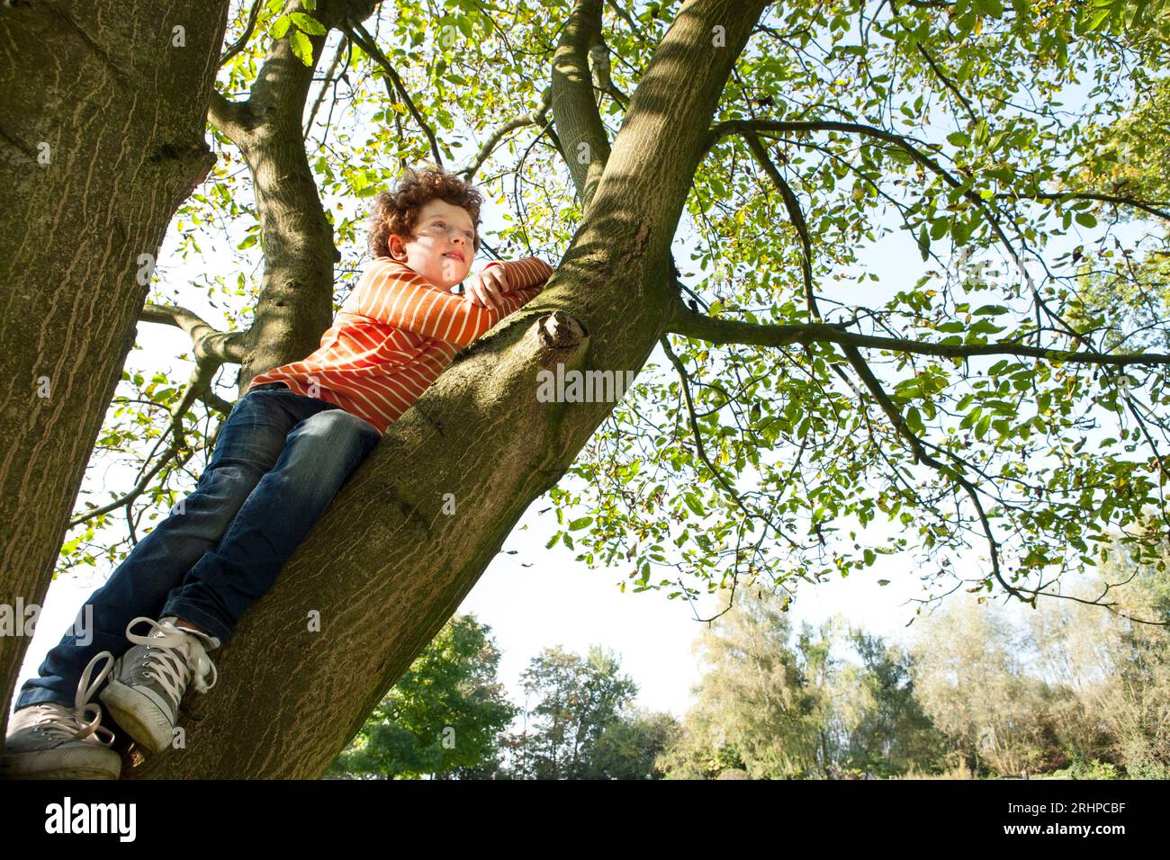 Junge klettert Baum Stockfoto