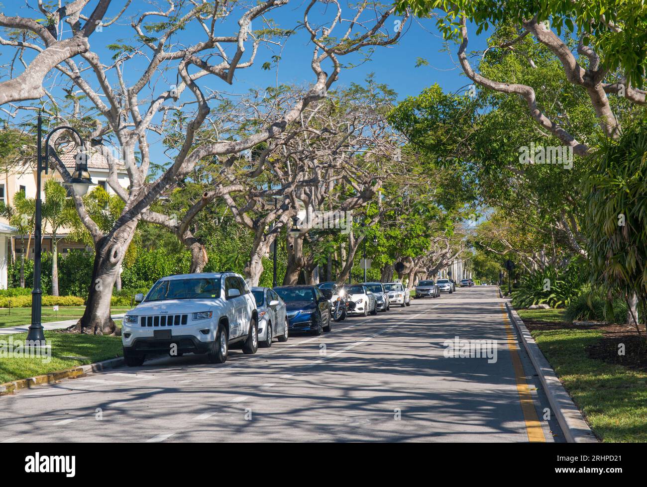 Neapel, Florida, USA. Blick auf die von Bäumen gesäumte 6th Street South, eine Wohnstraße an der 5th Avenue South, der exklusivsten Einkaufsstraße der Stadt. Stockfoto