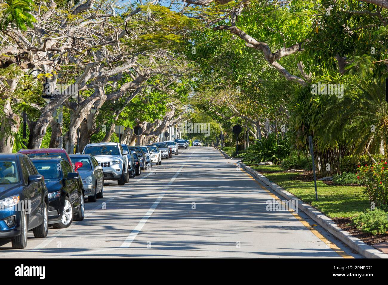 Neapel, Florida, USA. Blick auf die von Bäumen gesäumte 6th Street South, eine Wohnstraße an der 5th Avenue South, der exklusivsten Einkaufsstraße der Stadt. Stockfoto