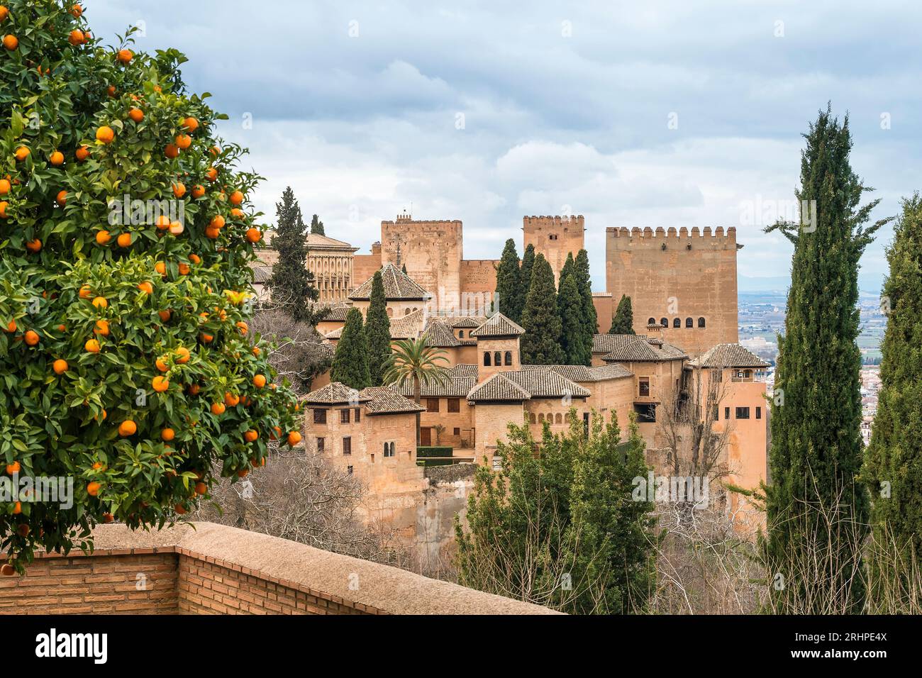 Spanien, Andalusien, Granada, Blick vom Palacio de Generalife zur Alhambra, Orangenbaum Stockfoto