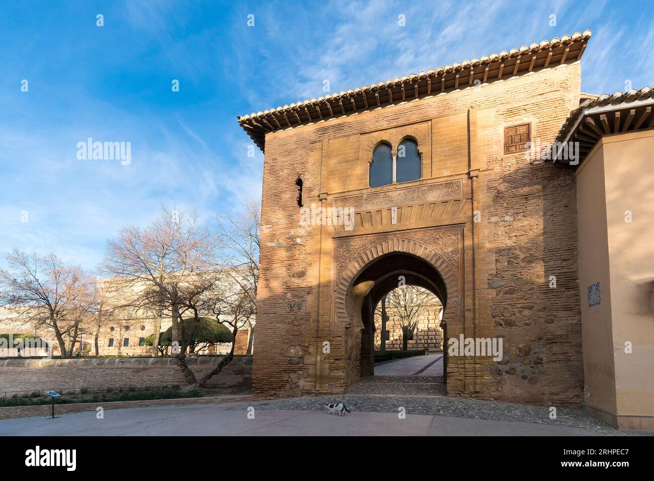 Spanien, Andalusien, Granada, Alhambra, Puerta del Vino, streunende Katze Stockfoto
