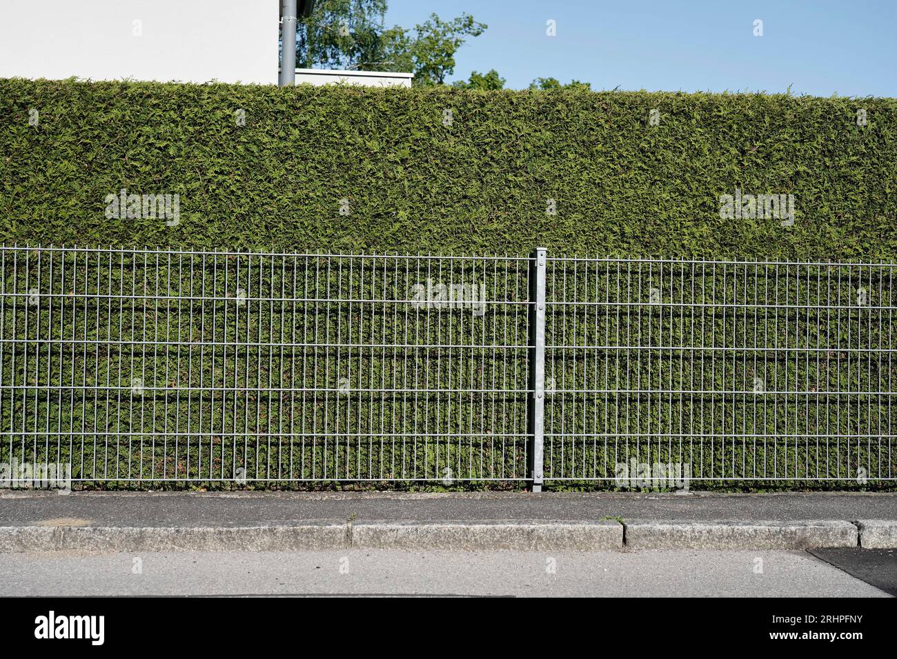Deutschland, Bayern, Oberbayern, Bezirk Alttting, hoher Gartenzaun,  Eisenzaun, dahinter Thuja-Hecke Stockfotografie - Alamy