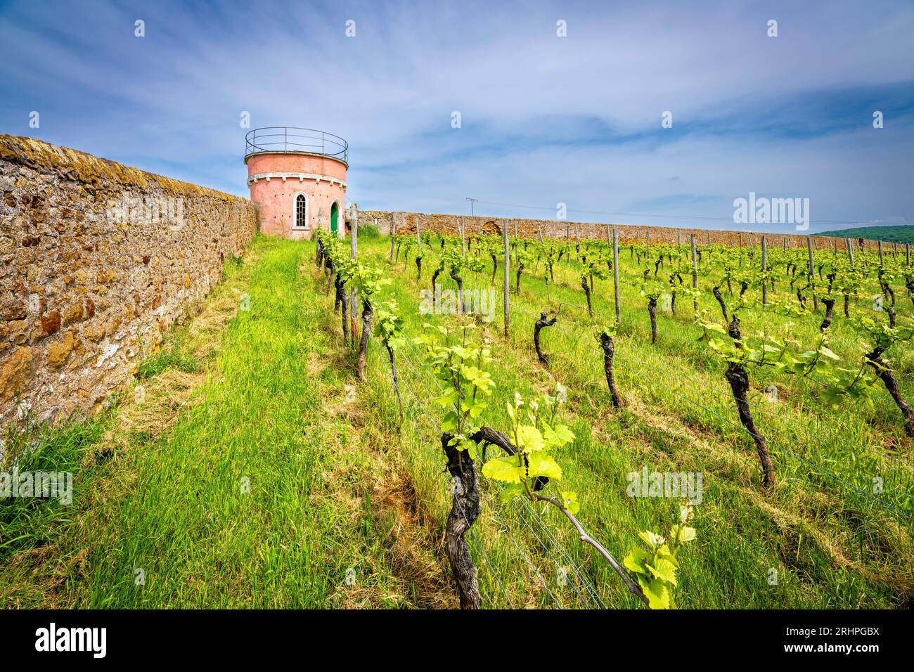 Weinberghütte bei Wendelsheim, rosa trullo mit Dachterrasse, ein Unterschlupf bei schlechtem Wetter Stockfoto