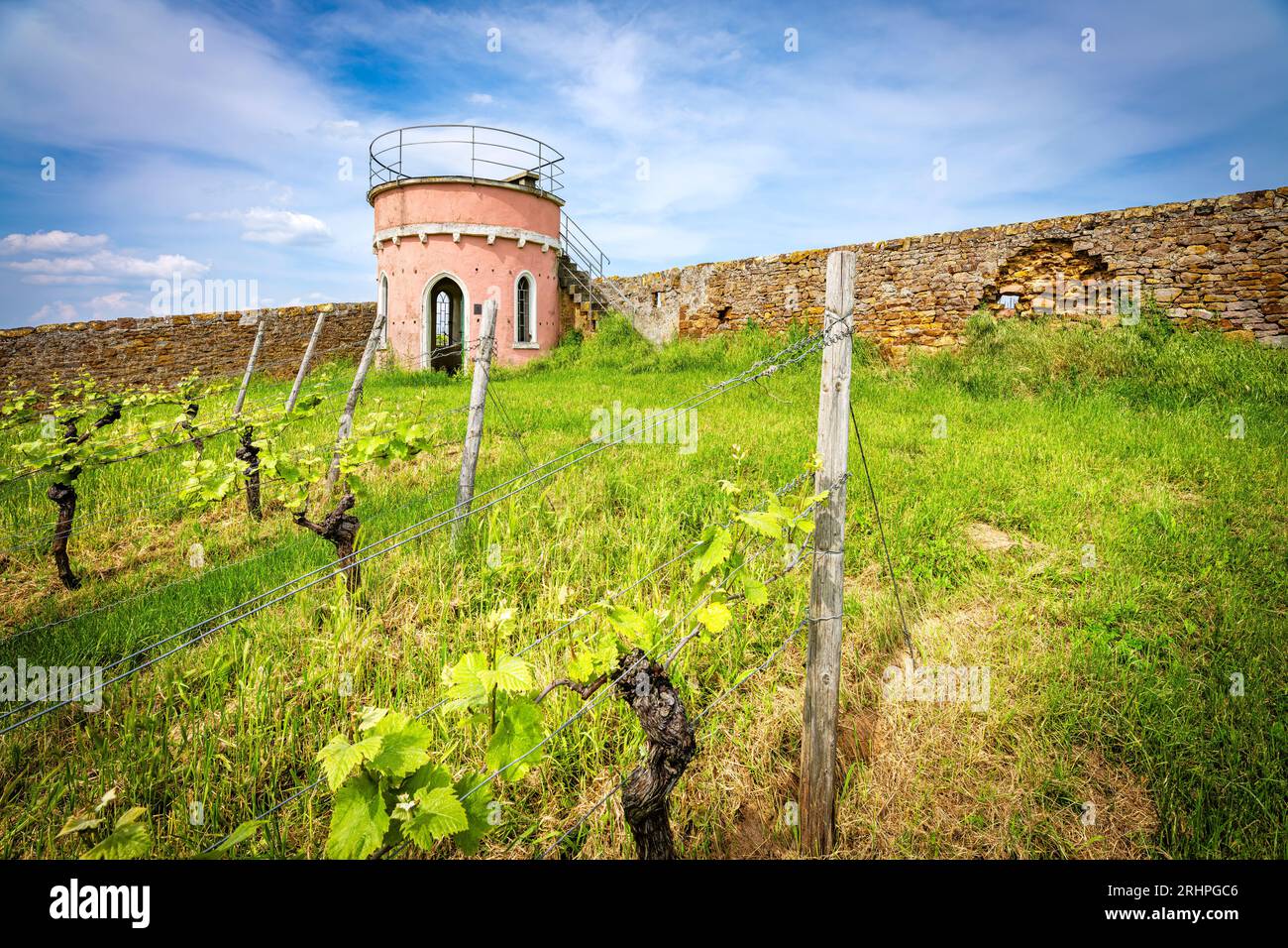 Weinberghütte bei Wendelsheim, rosa trullo mit Dachterrasse, ein Unterschlupf bei schlechtem Wetter Stockfoto