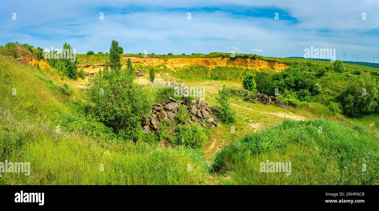 Sandgrube bei Wendelsheim, Rheinhessen, Sedimente der Alzey-Formation, Fossilien sind dort zu finden Stockfoto