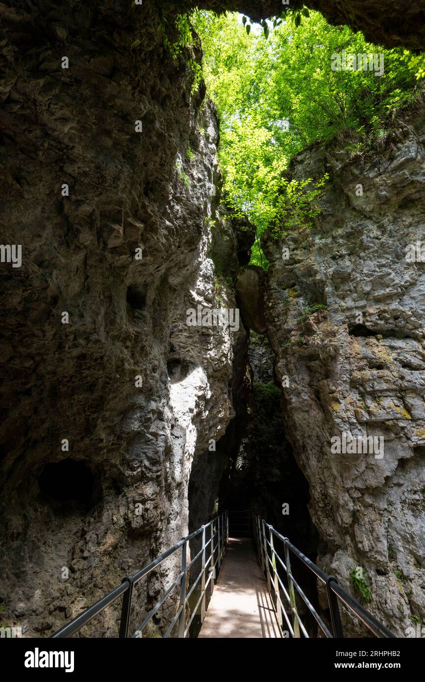 Canyon Rio Sass, der durch Wassererosion im Laufe der Jahrhunderte entstanden ist. Europa, Italien, Trentino Südtirol, Nontal, Bezirk Trient, Borgo d'Anaunia, Fondo Stockfoto