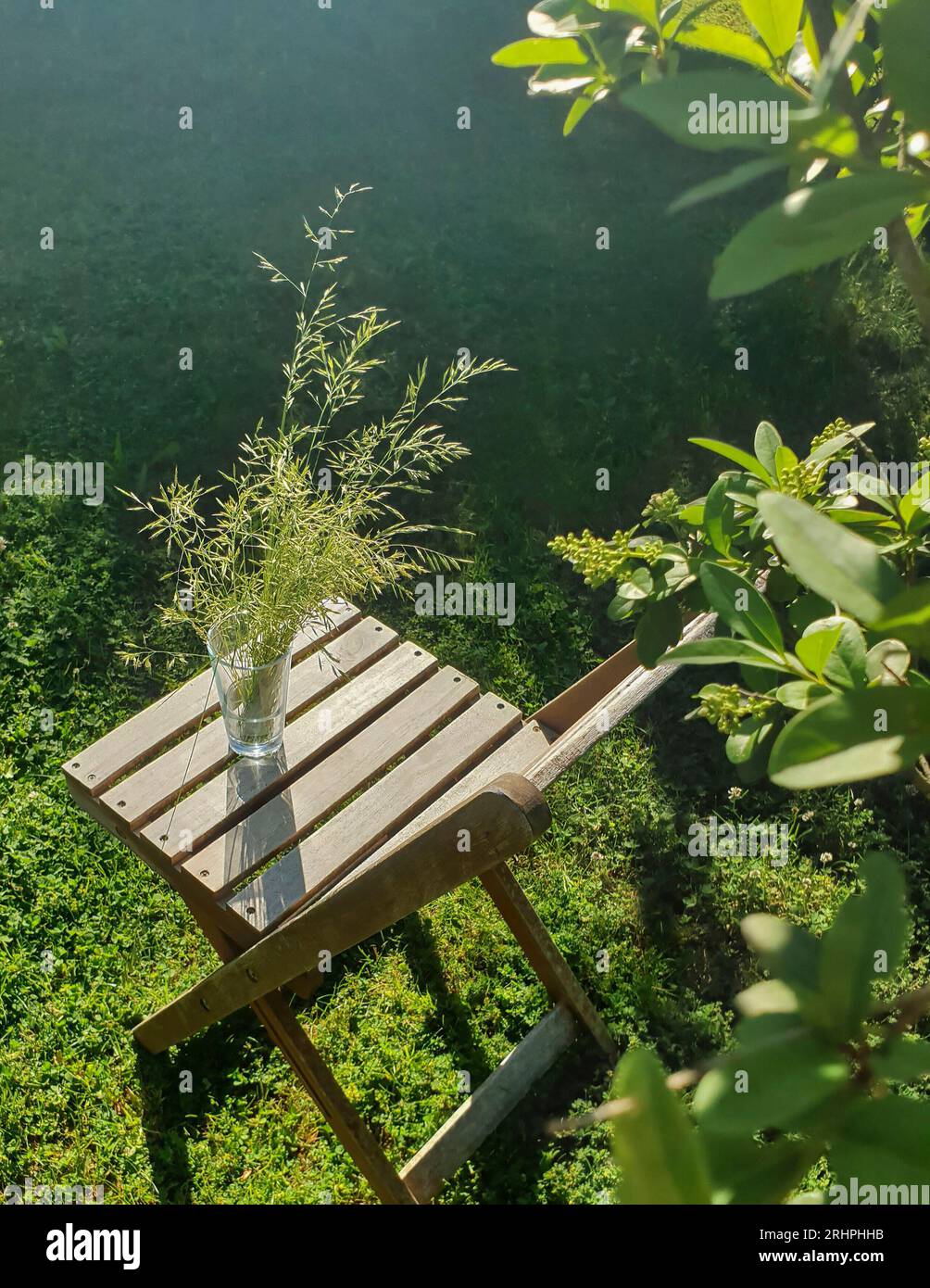 Holzstuhl im Garten, grüner Hintergrund, Sonnenlicht, Glasvase, Gräser, natürliches Ambiente Stockfoto