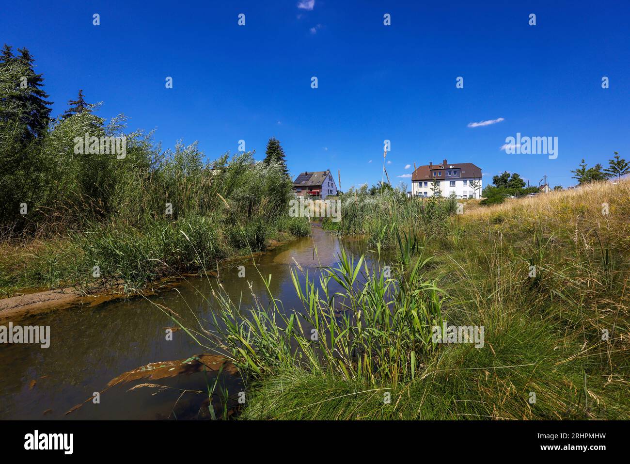 Recklinghausen, Nordrhein-Westfalen, Deutschland - renaturierter Hellbach, renaturierter Wasserlauf Stockfoto