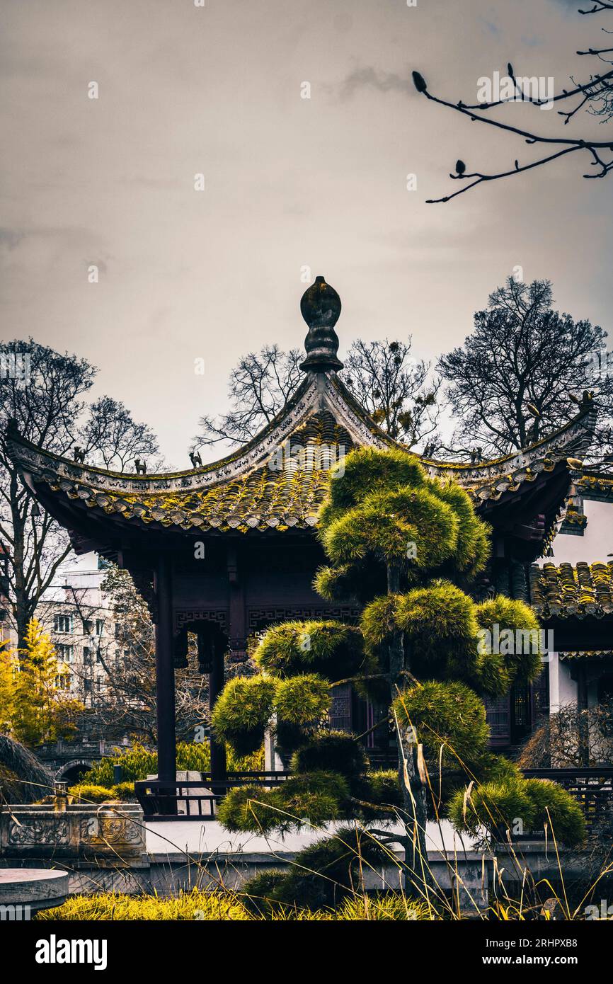 Mystische Harmonie, der bezaubernde China-Garten im Bethmannpark, Frankfurt am Main Stockfoto