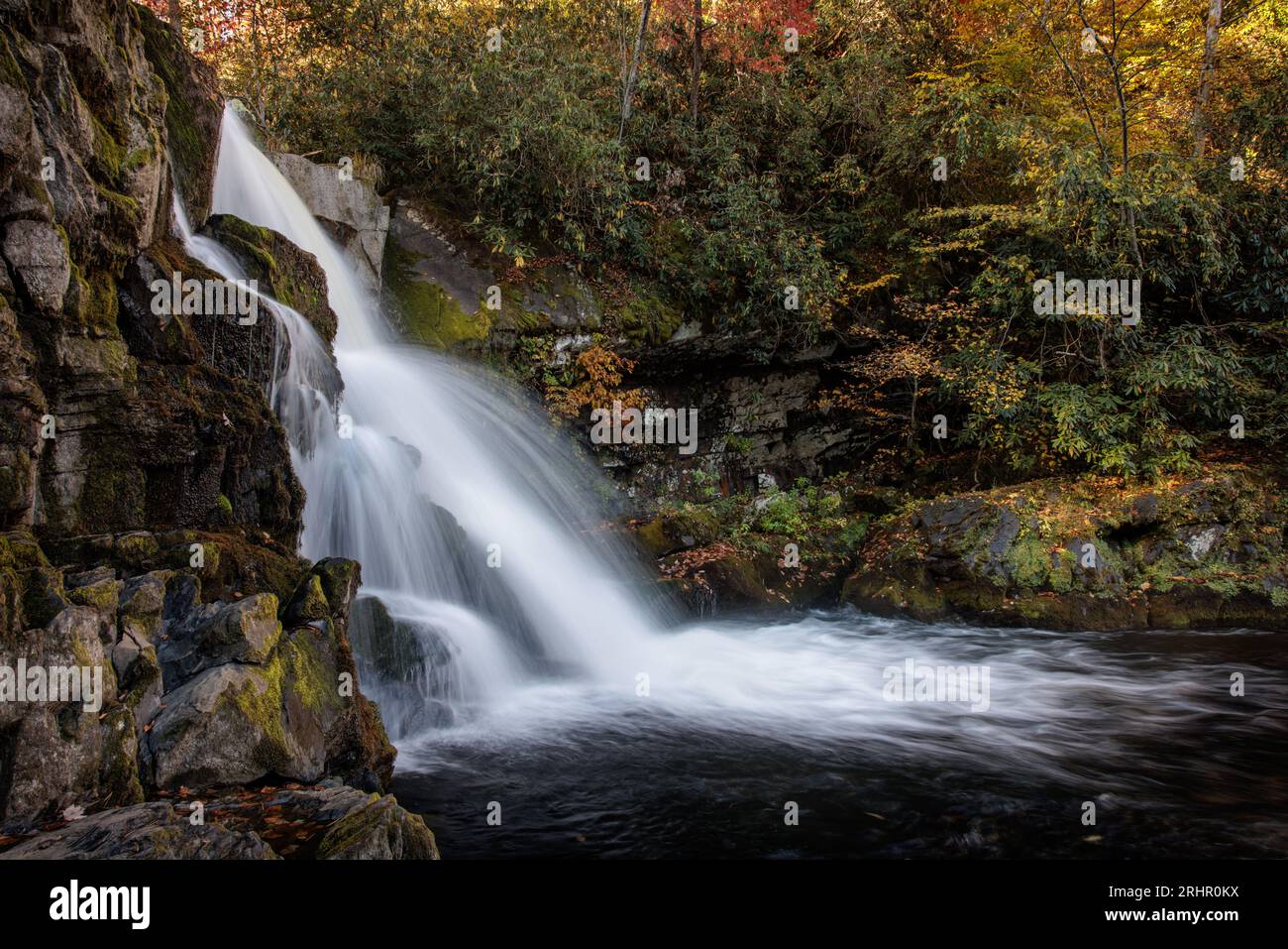 Herbstlaub färbt die Gegend um Abrams Falls in der Nähe der Cades Cove im Great Smoky Mountains National Park. Stockfoto