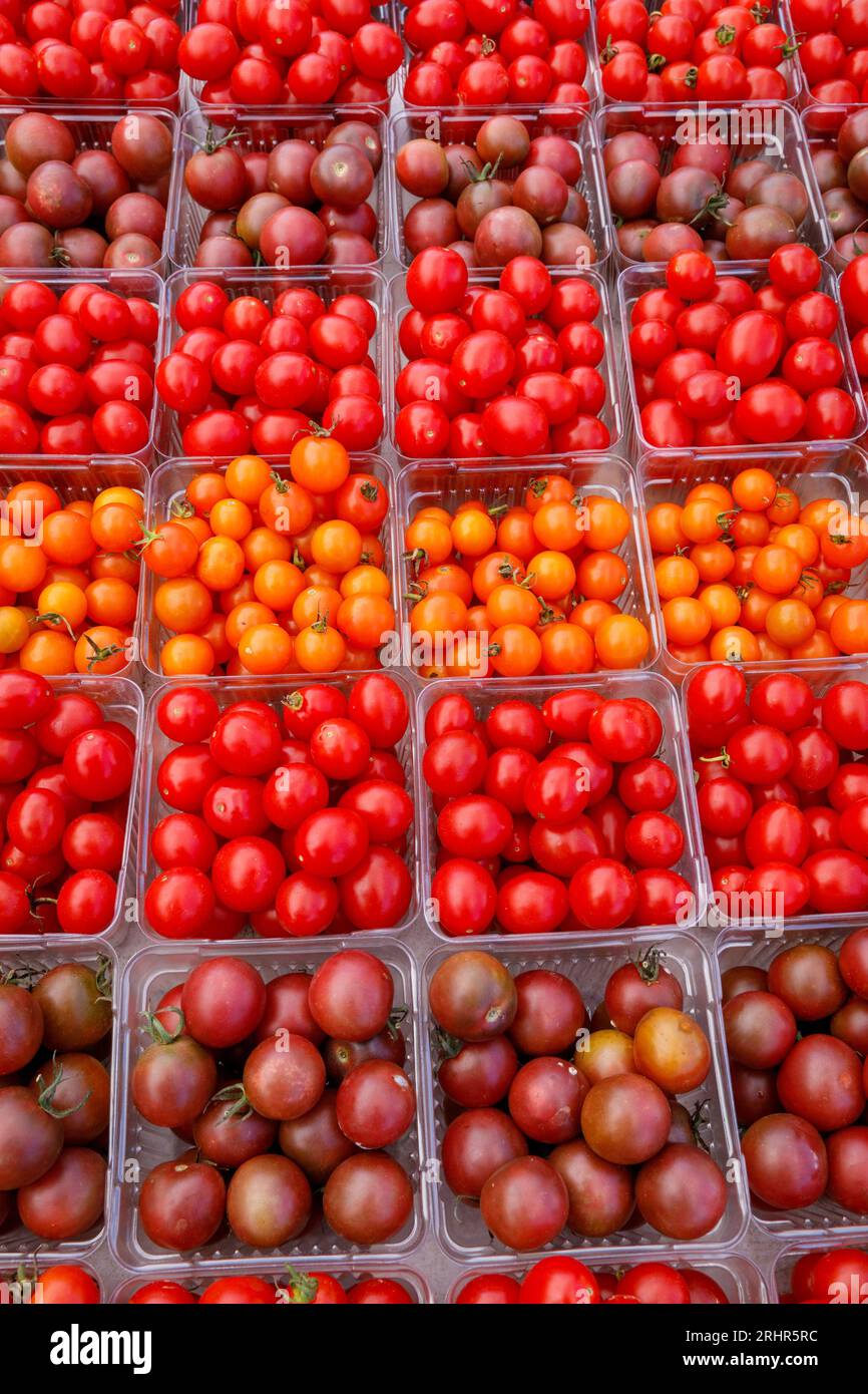 Kirschtomaten zum Verkauf auf dem Wochenmarkt für Landwirte, Reston, Virginia, USA. Stockfoto