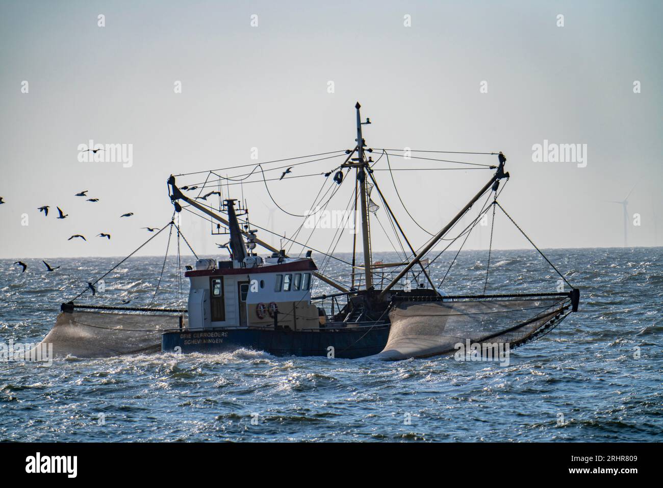 Krabbenschneider SCH-10 Drie Gebroeders, vor der Küste von Scheveningen, den Haag, mit Streunetzen, Segelboot, Niederlande Stockfoto