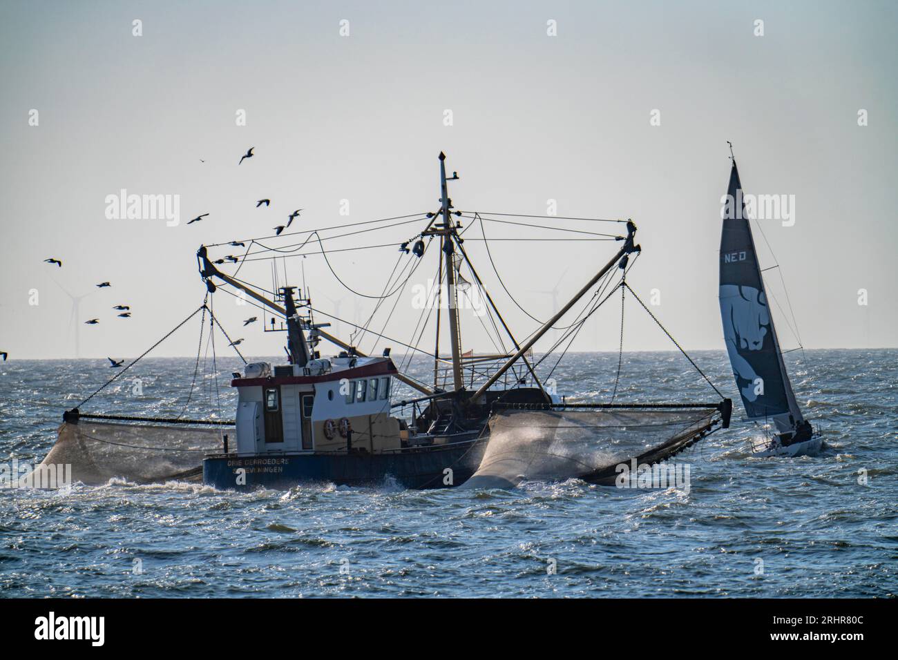 Krabbenschneider SCH-10 Drie Gebroeders, vor der Küste von Scheveningen, den Haag, mit Streunetzen, Segelboot, Niederlande Stockfoto