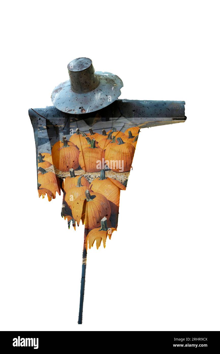 Vogelscheuche auf einem Stock mit schwarzem Hexenhut und orangefarbener Kürbiskleidung ist isoliert Foto. Gruselige Metallfigur zeigt mit ausgestrecktem Arm. Hut bedeckt seinen Kopf. Stockfoto