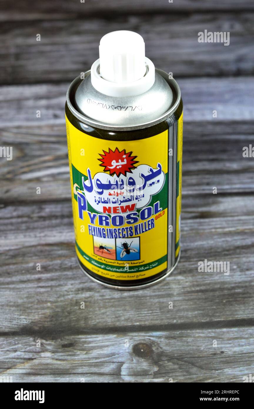 Kairo, Ägypten, 4. August 2023: Neues Pyrosol Gold fliegendes Insektenkiller Spray, von Nasr Company for Intermediate Chemicals, tötet häufig gelisteten Haushalt in Stockfoto