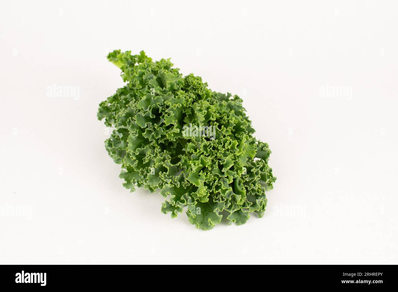 Frisches grünes, lockiges Grünkohlblatt aus nächster Nähe Stockfoto