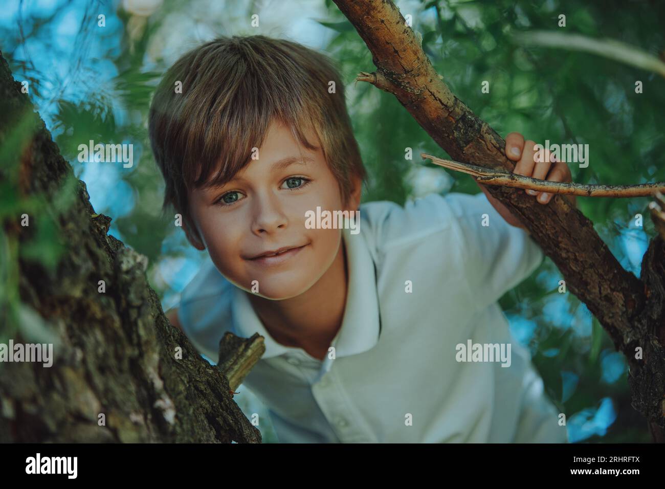 Porträt eines schönen lächelnden Jungen, der auf einem Baum sitzt Stockfoto