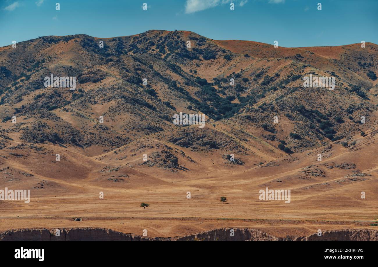 Bergsommer Kasachstan Landschaft im Juni Stockfoto