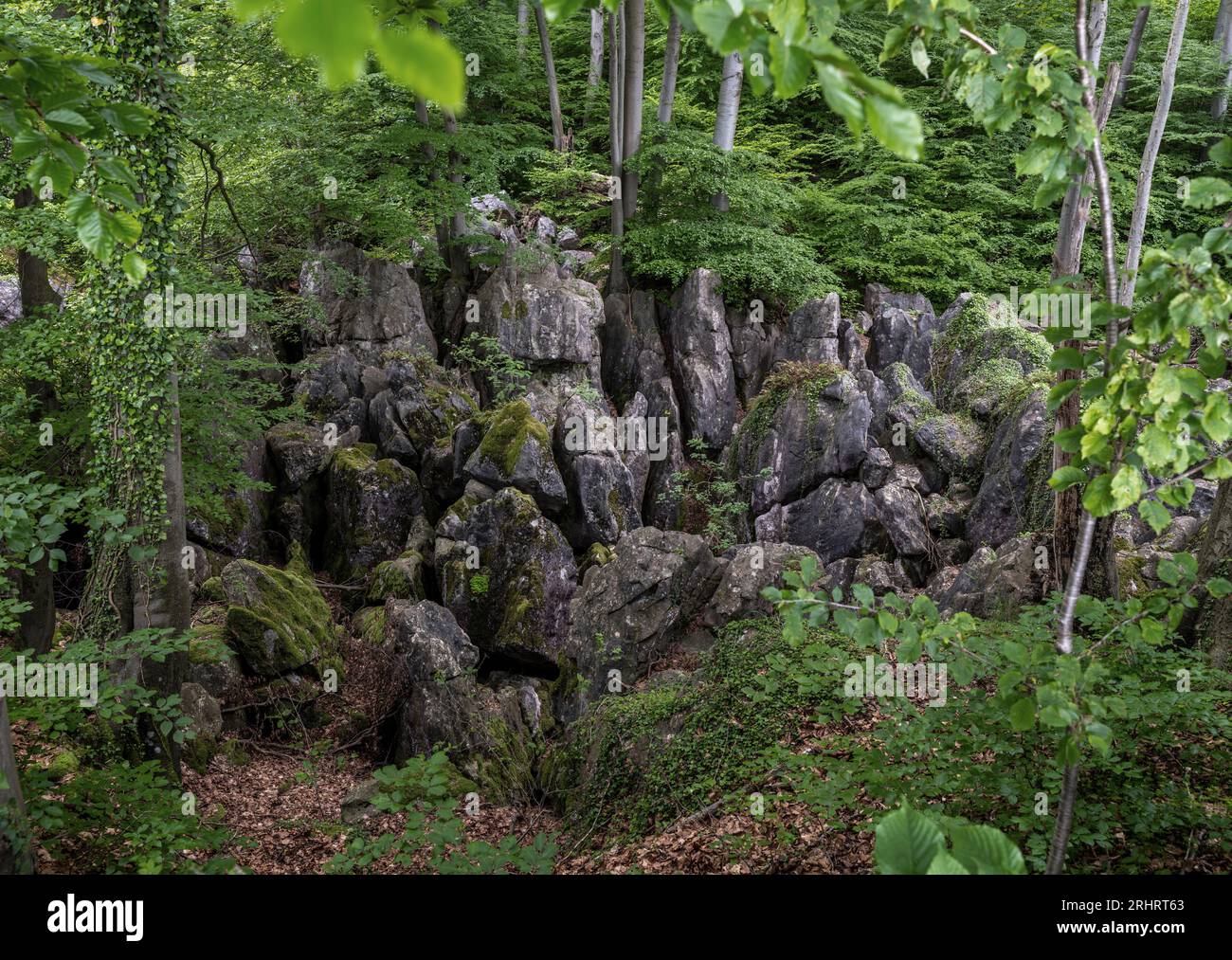 Gesteinsmeer, Felsenmeer Hemer, Deutschland, Nordrhein-Westfalen, Sauerland, Hemer Stockfoto