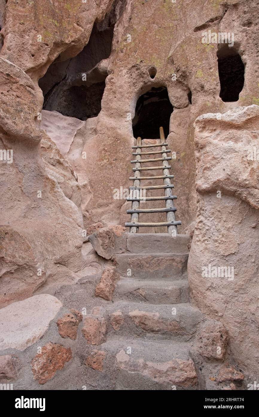 Leiter, die in eine Nische führt, wie Höhlen, die von alten Bewohnern der Puebloan-Klippen in den vulkanischen Ascheebuff gehauen wurden Stockfoto