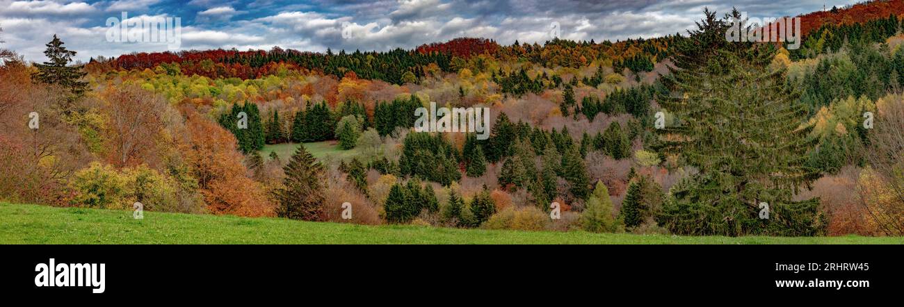 Herbstwald in den Bergen von Rhoen, Deutschland, Hessen, Gersfeld (Rhoen) Stockfoto