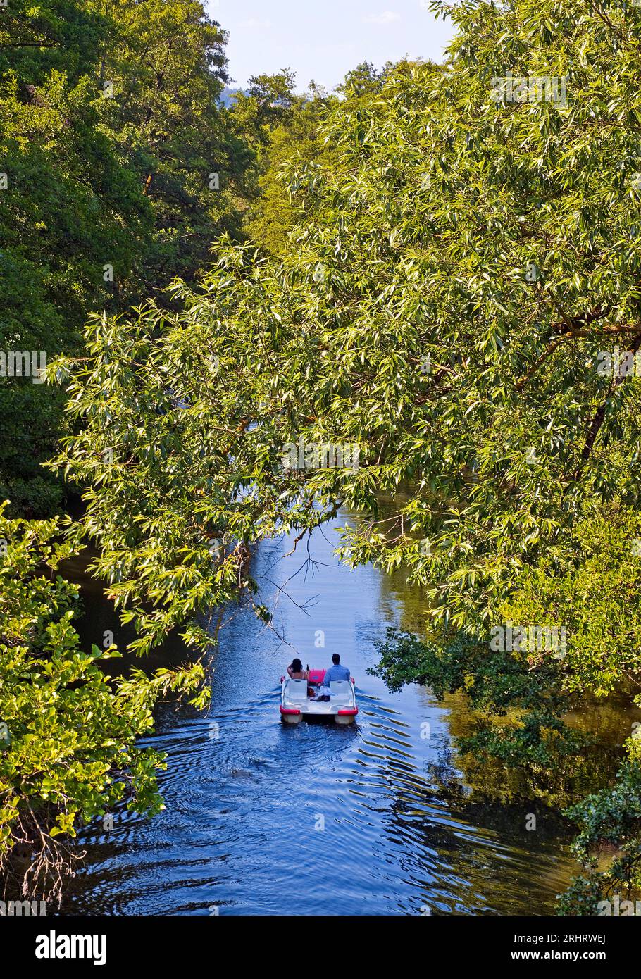 Paar in einem Tretboot auf der Lahn, Deutschland, Hessen, Marburg an der Lahn Stockfoto