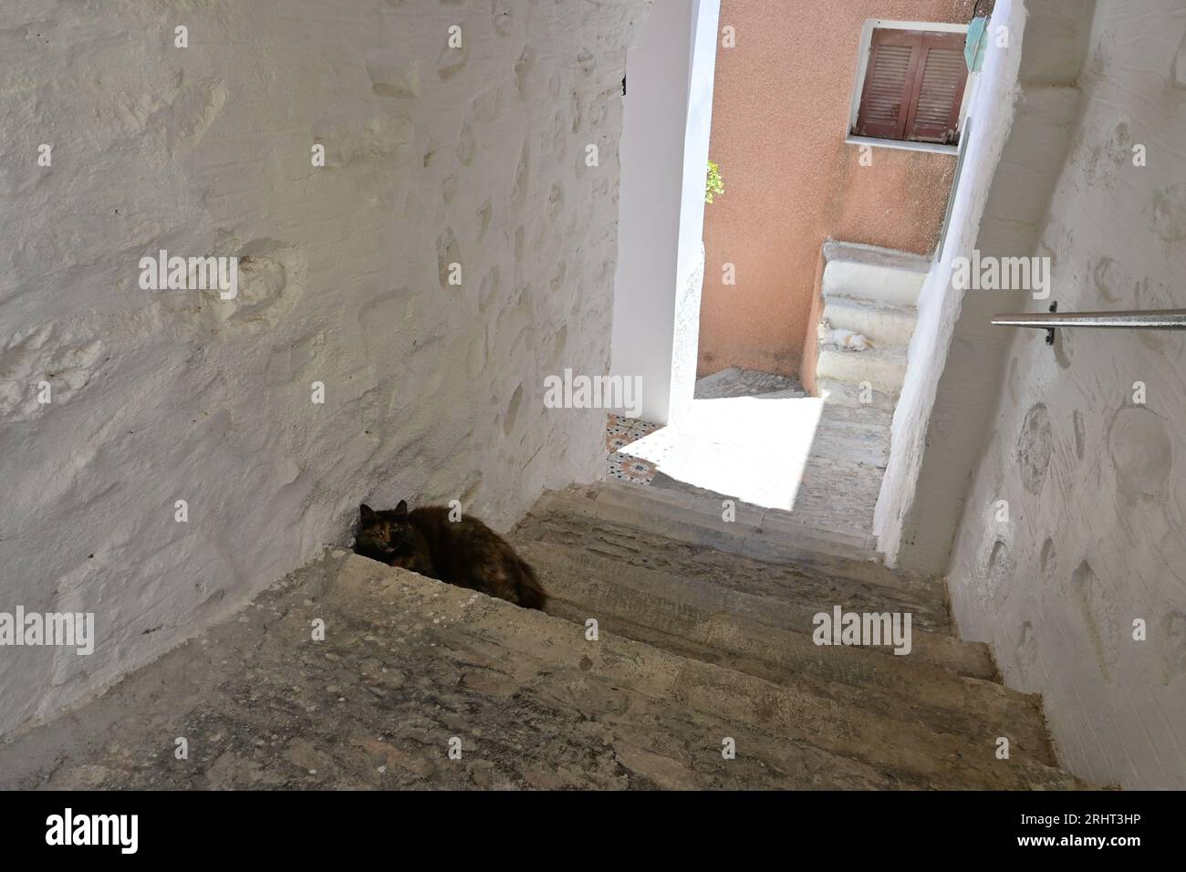 Katze auf Treppen in Ano Syros, einer mittelalterlichen Siedlung auf Syros Island, Griechenland Stockfoto