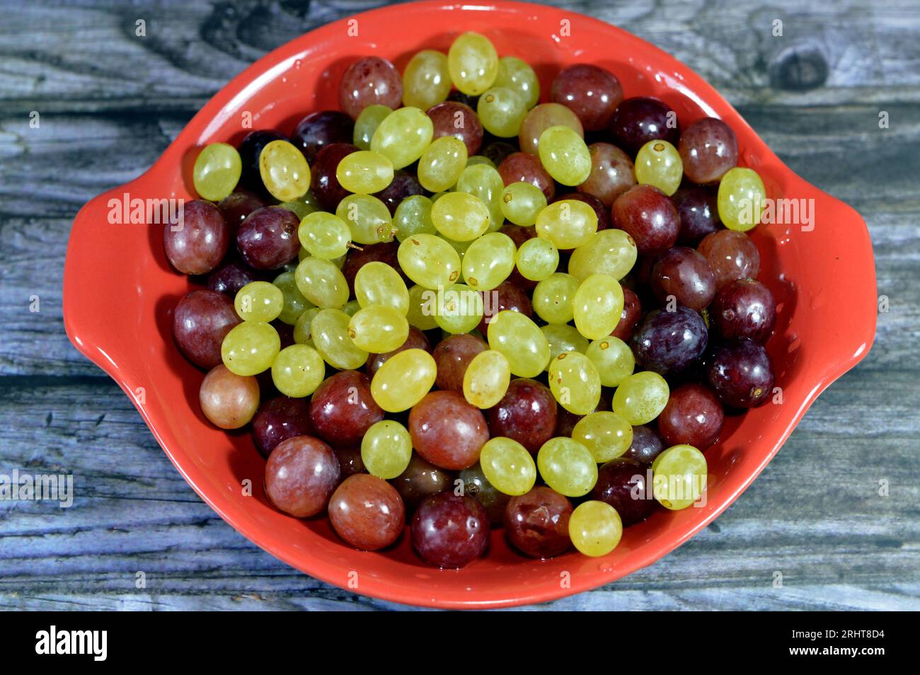 Grüne und rote frische Trauben, eine Frucht, botanisch eine Beere der Laubwaldreben der blühenden Pflanzengattung Vitis. Die Trauben sind nicht klimakterisch Stockfoto
