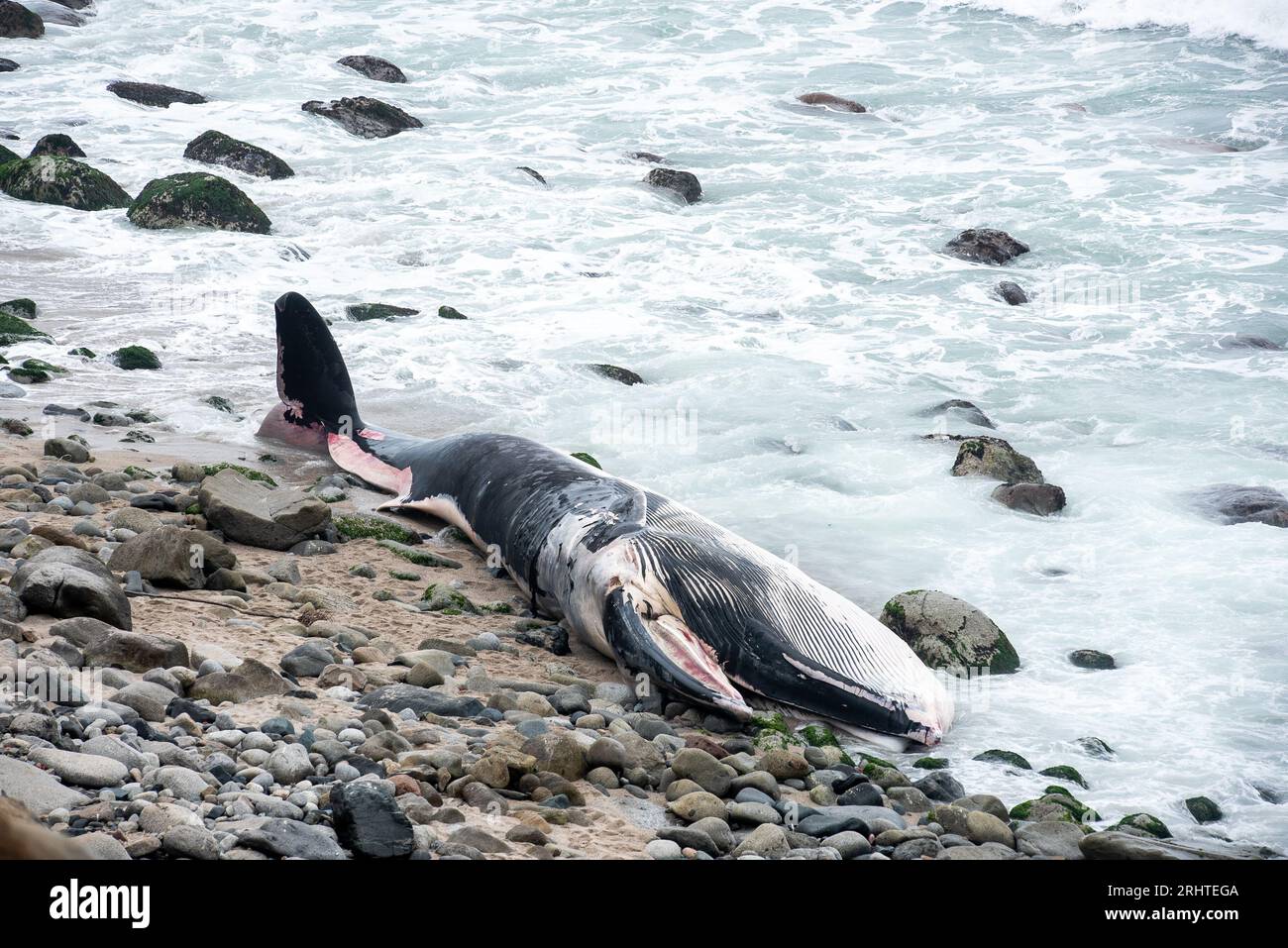 Die Küste Perus mit den Buchten der Wale. Punta Hermosa Strand. Lima Stockfoto