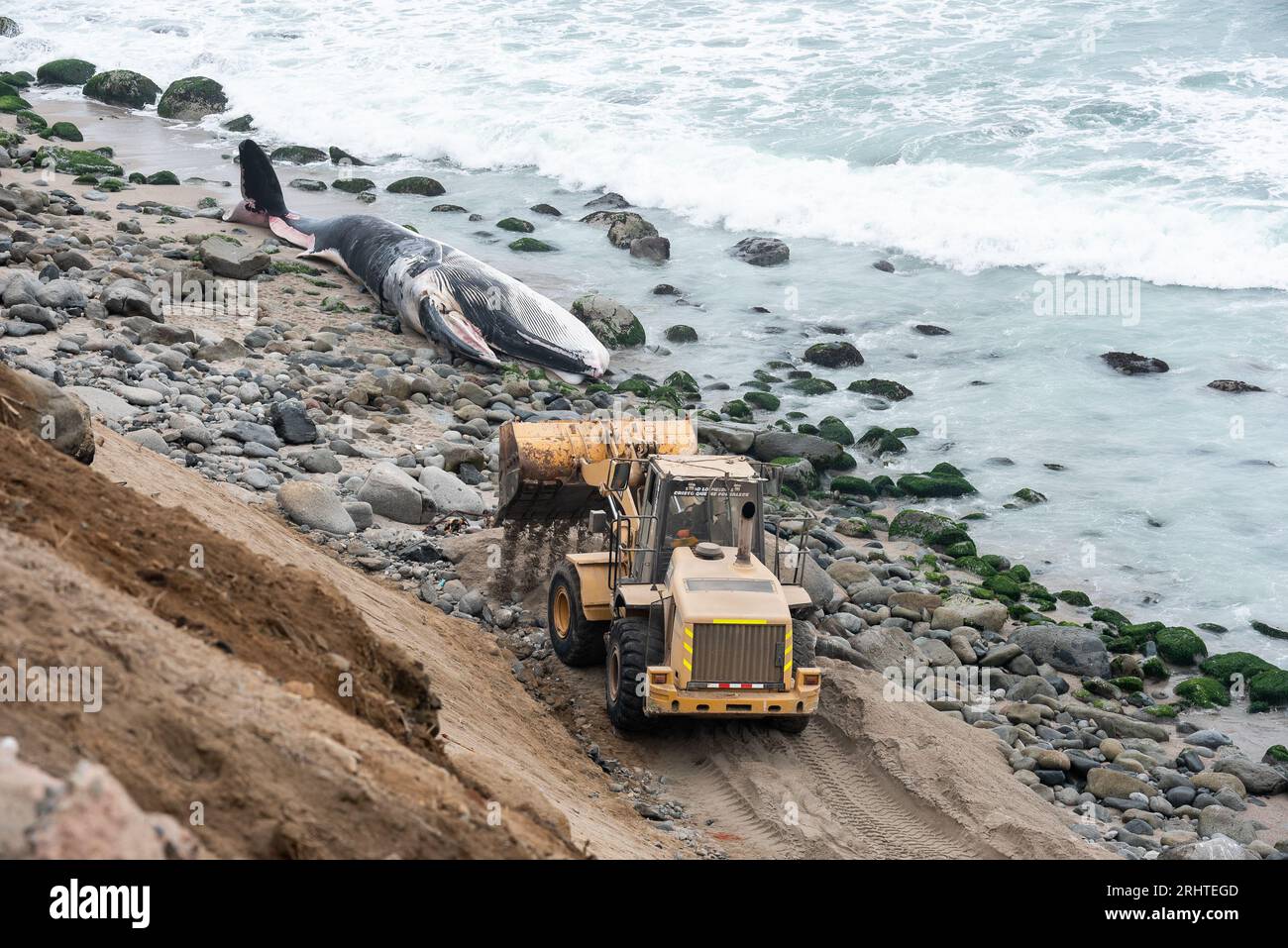 Die Küste Perus mit den Buchten der Wale. Punta Hermosa Strand. Lima Stockfoto