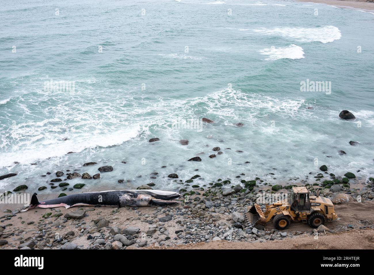 Die Küste Perus mit den Buchten der Wale. Punta Hermosa Strand. Lima Stockfoto