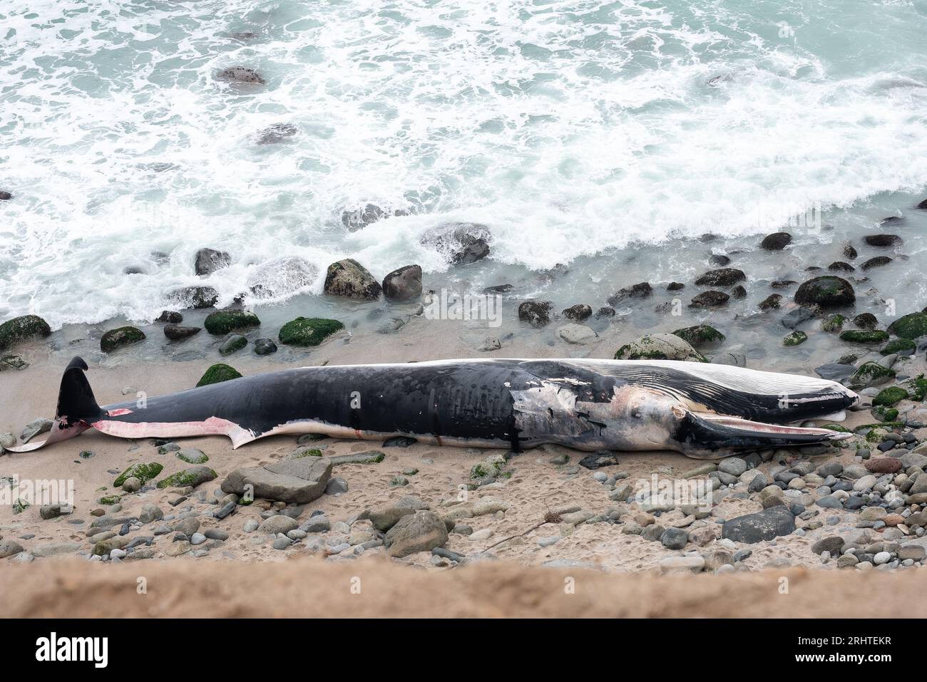 Die Küste Perus mit den Buchten der Wale. Punta Hermosa Strand. Lima Stockfoto