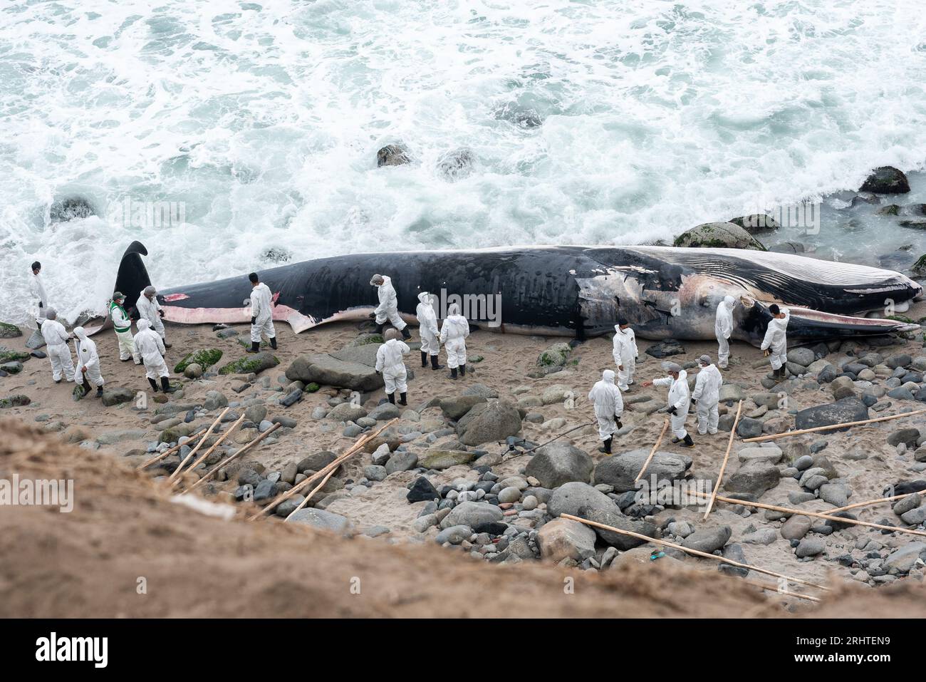 Die Küste Perus mit den Buchten der Wale. Punta Hermosa Strand. Lima Stockfoto