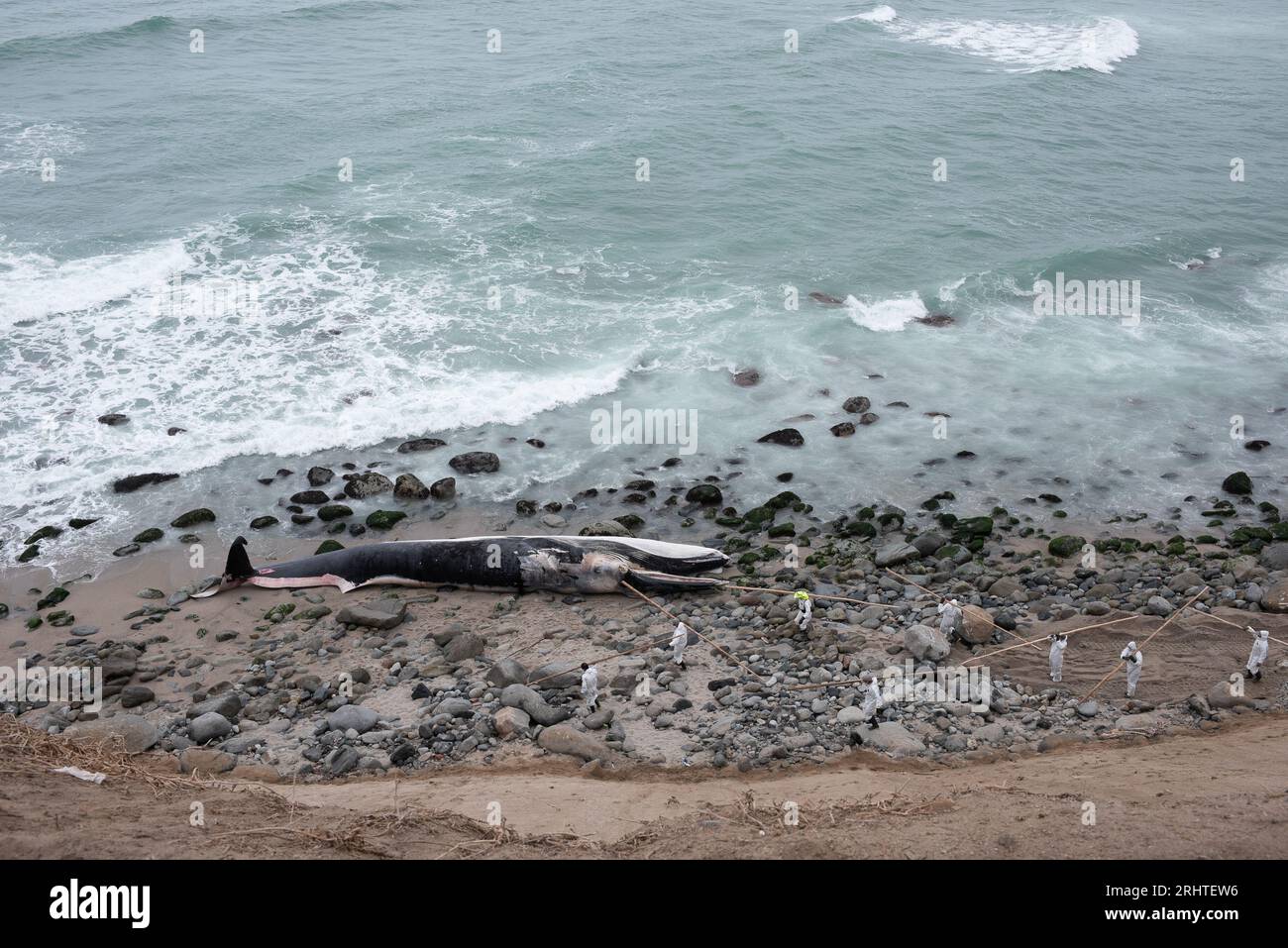 Die Küste Perus mit den Buchten der Wale. Punta Hermosa Strand. Lima Stockfoto