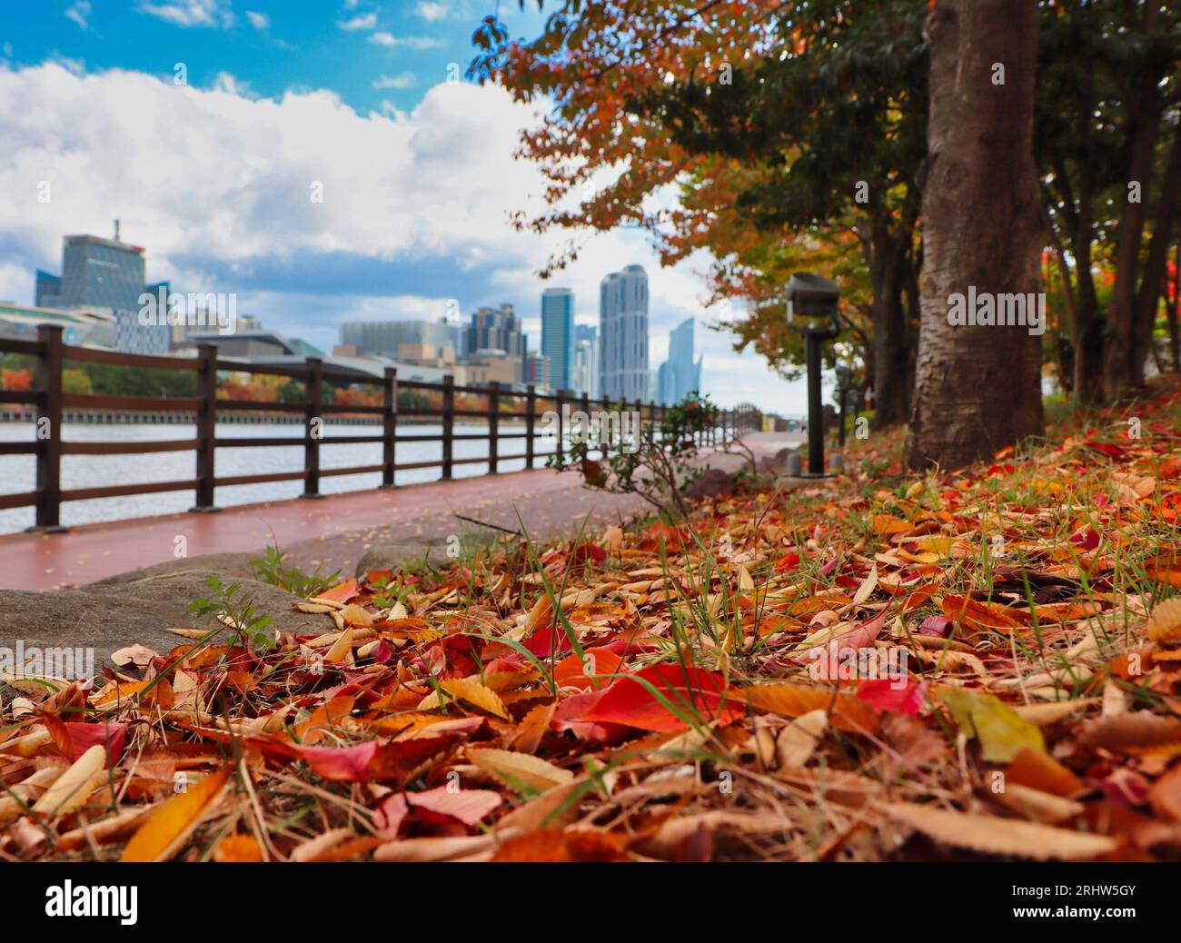 Luftaufnahme von Herbstnaru Park, Centum City, Busan, Südkorea, Asien Stockfoto