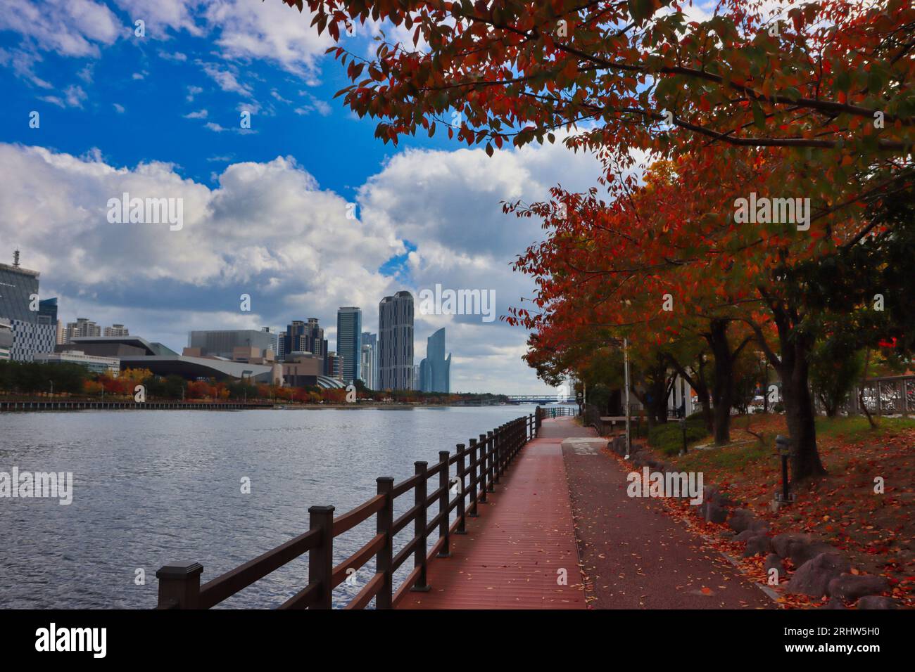 Luftaufnahme von Herbstnaru Park, Centum City, Busan, Südkorea, Asien Stockfoto