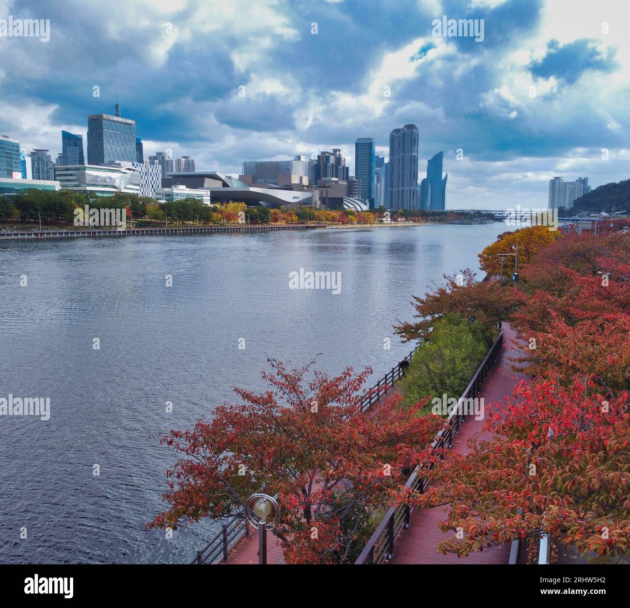 Luftaufnahme von Herbstnaru Park, Centum City, Busan, Südkorea, Asien Stockfoto
