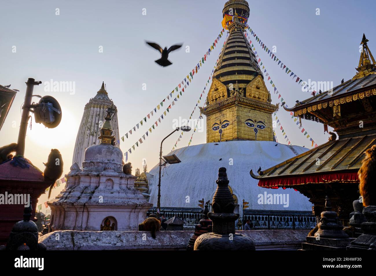 Nepal, Kathmandu-Tal, Swayambunath buddhistische Stupa Stockfoto