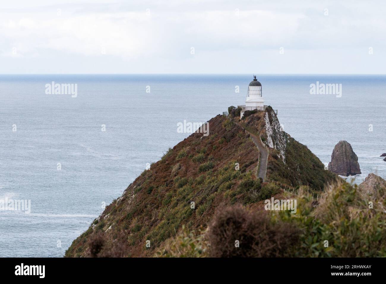 Ein Leuchtturm am Nugget Point in den Caitlans, Neuseeland Stockfoto