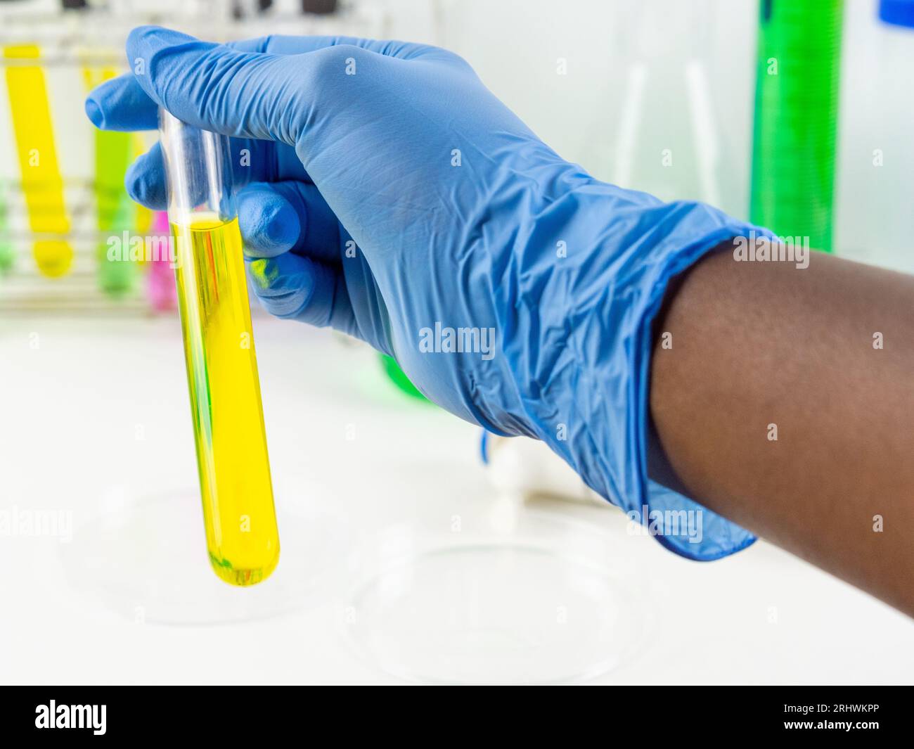 Nahaufnahme einer Hand mit Handschuhen, die ein Reagenzglas mit einer verschiedenfarbigen Probenflüssigkeit in einem Labor hält. Stockfoto