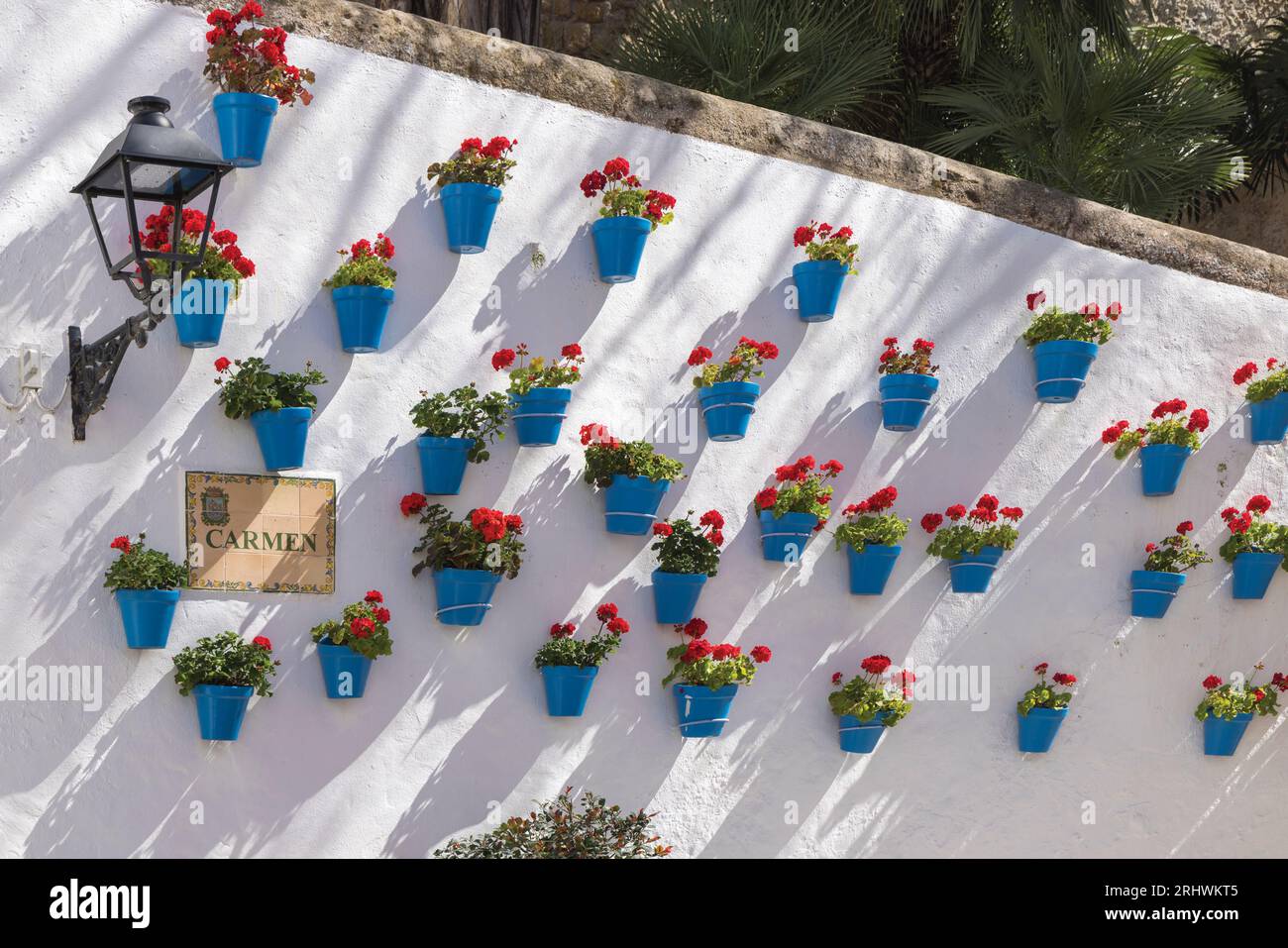 Marbella, Costa del Sol, Provinz Malaga, Andalusien, Südspanien. Geranienreihe in blauen Blumentöpfen in der Calle Carmen. Stockfoto