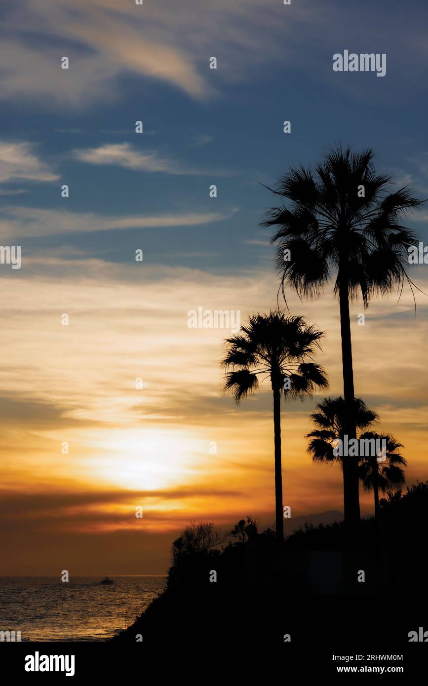 Sonnenuntergang über dem Meer. Palmen. Marbella, Costa del Sol, Provinz Malaga, Andalusien, Südspanien. Stockfoto