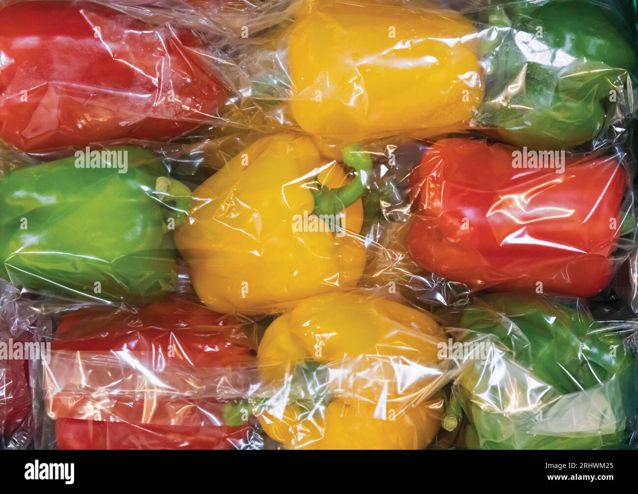 Rote, gelbe und grüne Cellophan-umwickelte Paprika. Capsicum annuum. Stockfoto