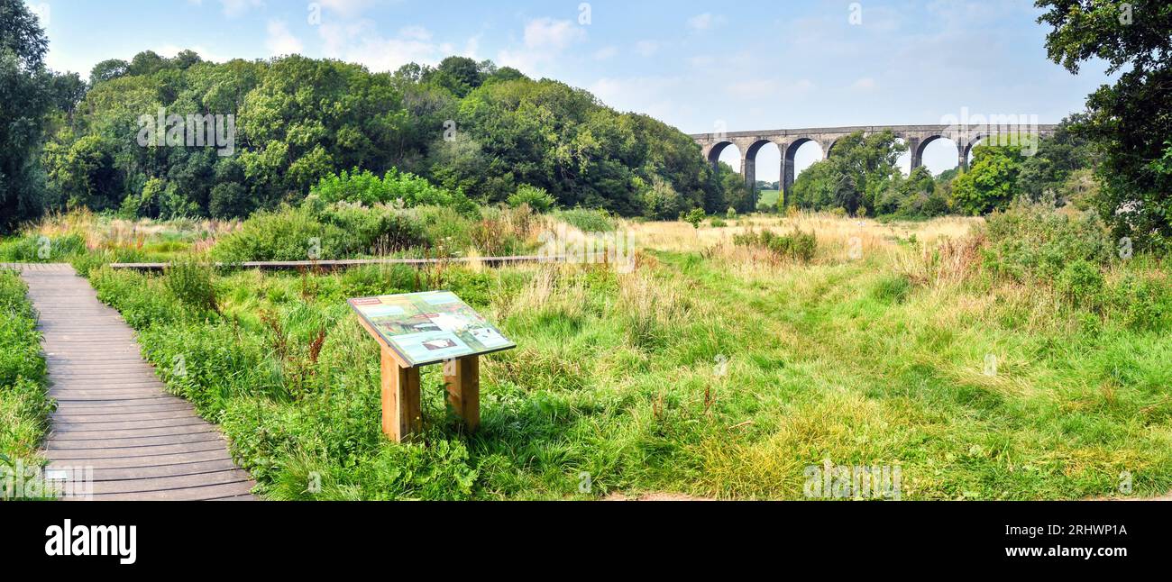 Barry, Wales - 17. August 2023: Menschen, die ihre Hunde auf einer hölzernen Promenade im Porthkerry Country Psrk in Südwales laufen lassen Stockfoto