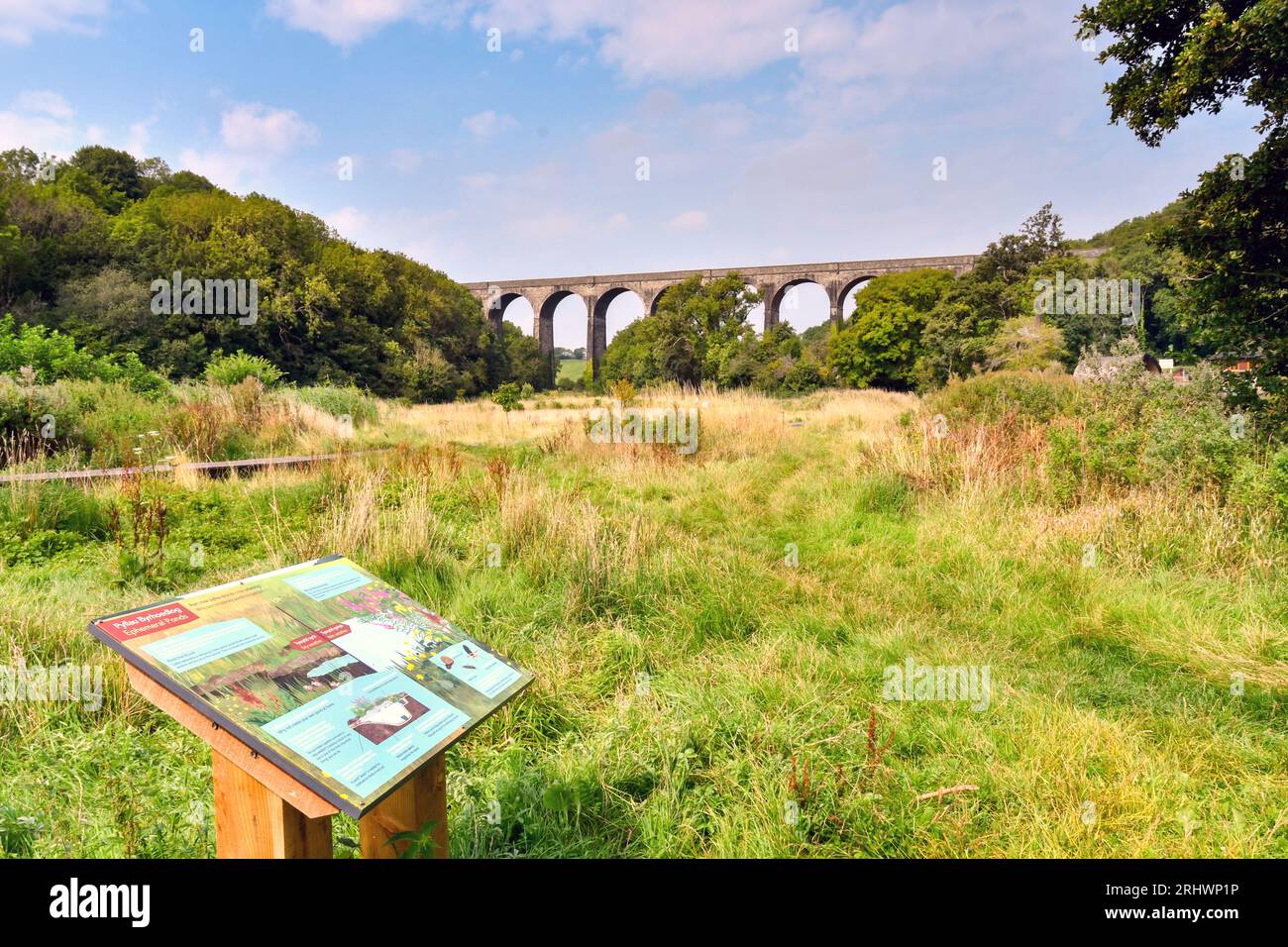 Barry, Wales - 17. August 2023: Menschen, die ihre Hunde auf einer hölzernen Promenade im Porthkerry Country Psrk in Südwales laufen lassen Stockfoto