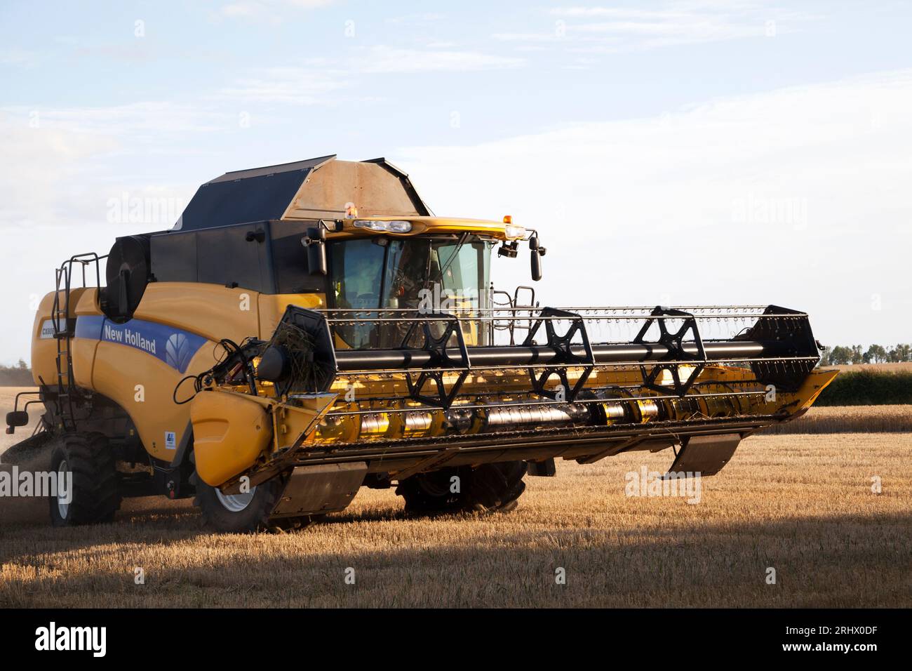 Mähdrescher auf Weizenfeld, Berwickshire, Schottland Stockfoto