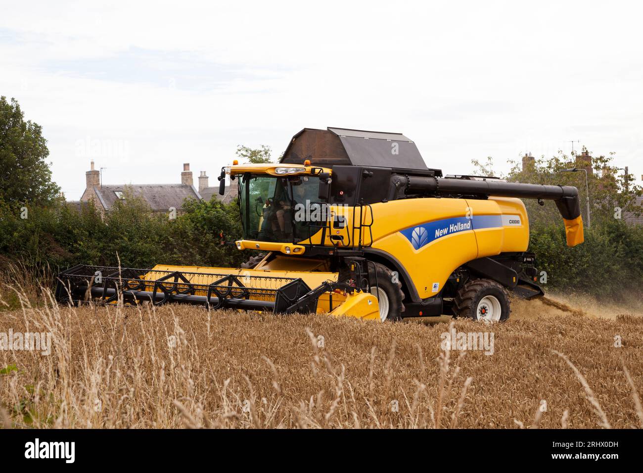 Mähdrescher auf Weizenfeld, Berwickshire, Schottland Stockfoto