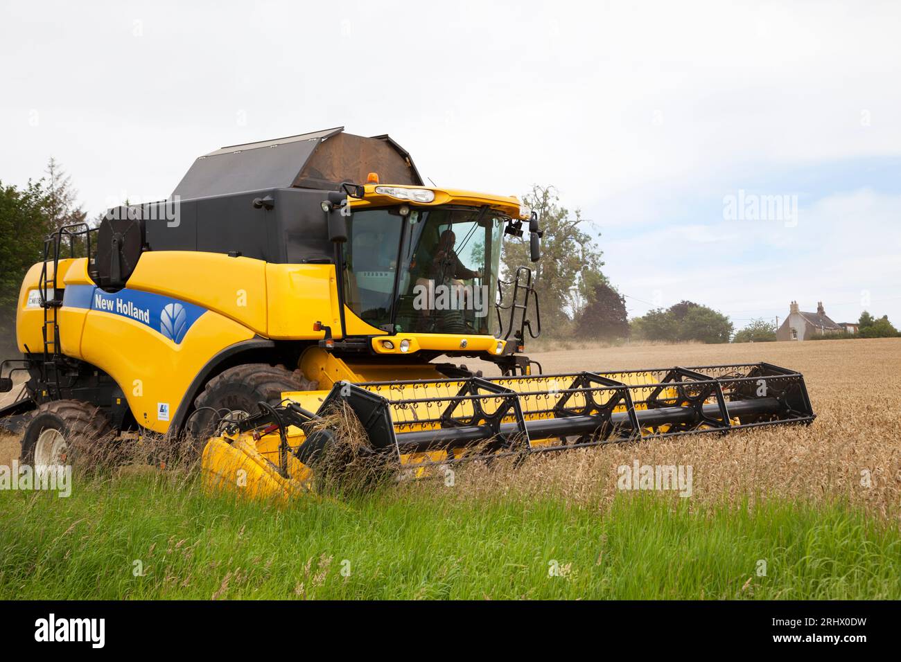 Mähdrescher auf Weizenfeld, Berwickshire, Schottland Stockfoto